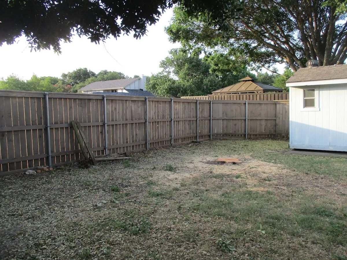 Cleared yard after professional tree removal in Mitchell